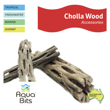 Cholla Wood