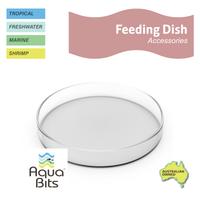Glass Feeding Dish | AquaBits