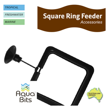 Square Ring Feeder