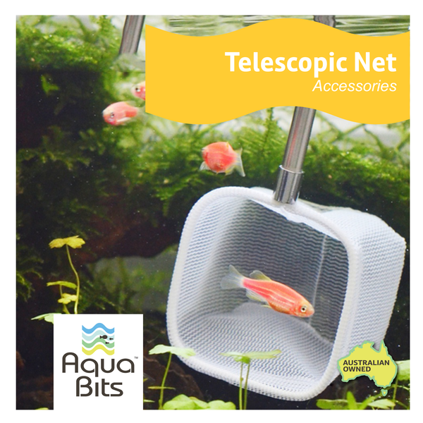 Telescopic Net | AquaBits
