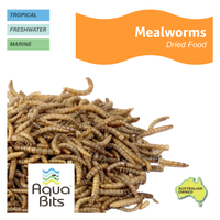 Mealworms Dried Food | AquaBits