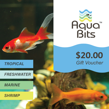 Gift Voucher Aquarium Supplies