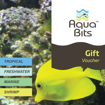 Gift Voucher Aquarium Supplies