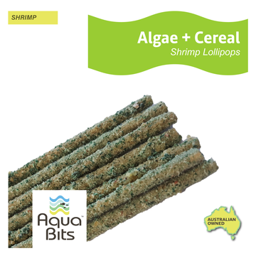 Algae + Cereal Shrimp Lollipops