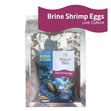 Brine Shrimp Eggs Live Culture