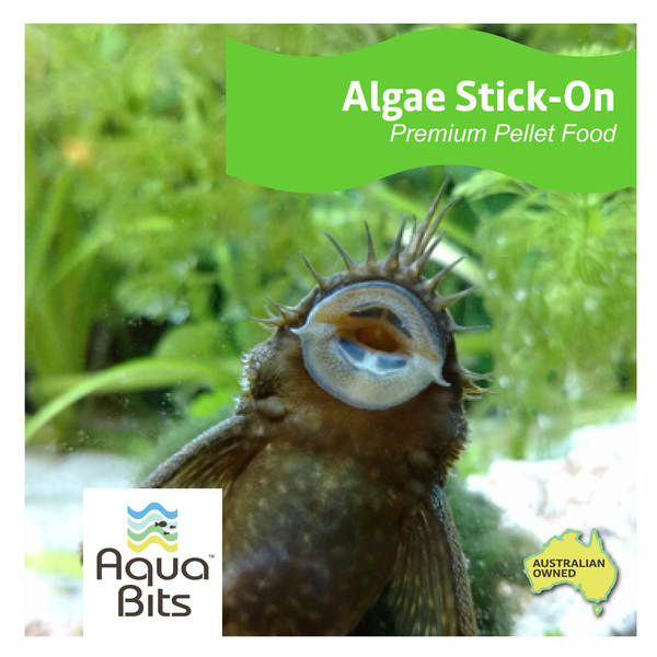 Algae Stick-On Premium Pellet Food | AquaBits