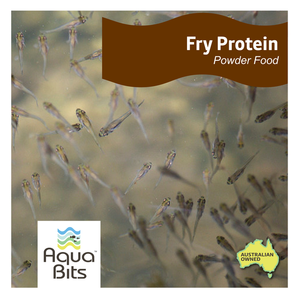 Fry Protein Powder Food | AquaBits