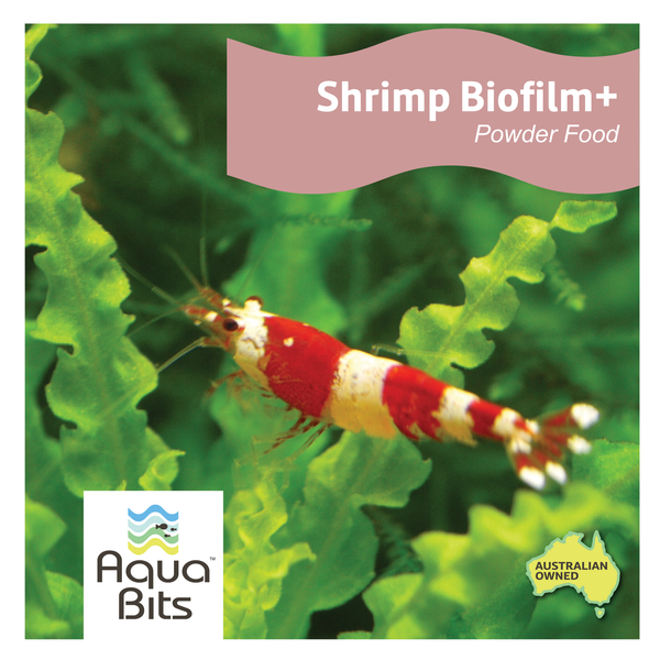 Shrimp Biofilm+ Powder Food | AquaBits