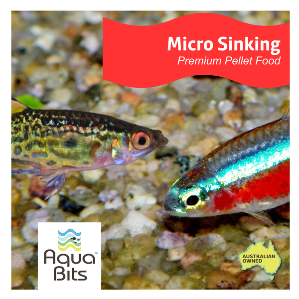 Micro 0.5mm Sinking Premium Pellet Food | AquaBits