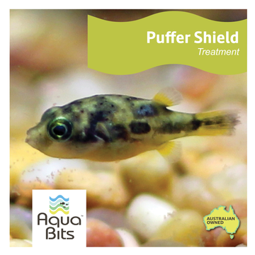Puffer Shield - Parasite Treatment for Pea Puffers