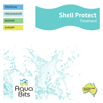 Shell Protect Shrimp and Snail