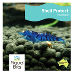 Shell Protect Shrimp and Snail | AquaBits